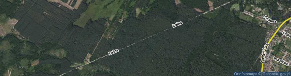 Zdjęcie satelitarne Leśna ul.